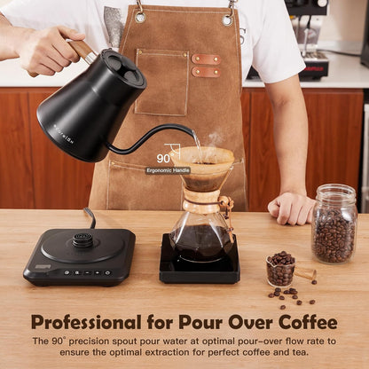 Gooseneck Electric Kettle, ±1℉ Temperature Control Pour over Kettle for Coffee, Tea & Water, Stainless Steel 1200 W Keep Warm OLED Display 1 L (Black)
